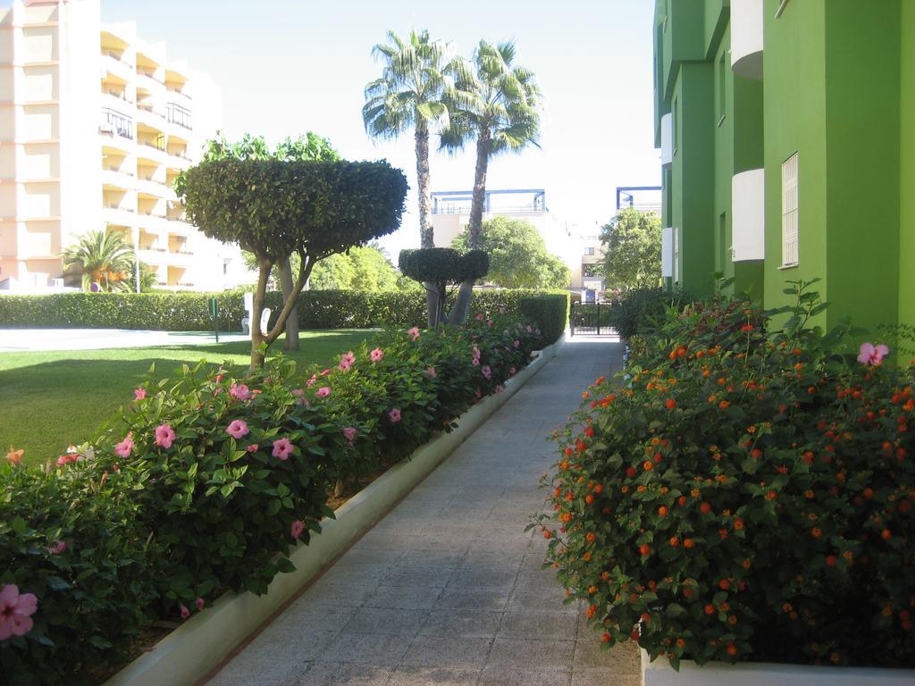 Los Juncos Apartamentos - Solo Familias オリーバ エクステリア 写真