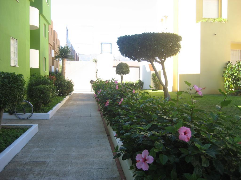 Los Juncos Apartamentos - Solo Familias オリーバ エクステリア 写真